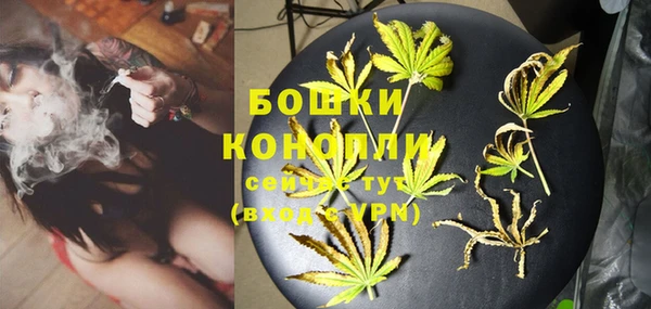 гидропоника Лагань